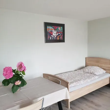 Mainzimmer Business - Monteurwohnung Mit Burgblick Apartman *