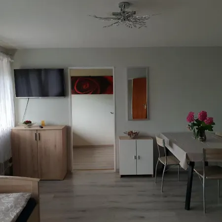 Mainzimmer Business - Monteurwohnung Mit Burgblick Apartment