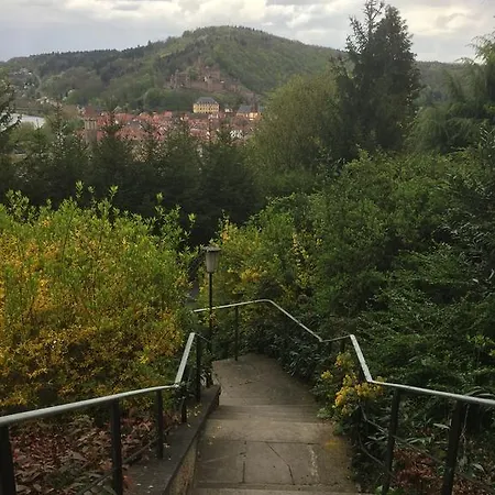 Mainzimmer Business - Monteurwohnung Mit Burgblick Apartment *