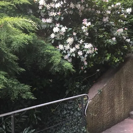 Apartman Mainzimmer Business - Monteurwohnung Mit Burgblick Wertheim