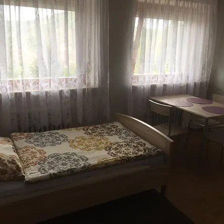 Apartment Mainzimmer Business - Monteurwohnung Mit Burgblick