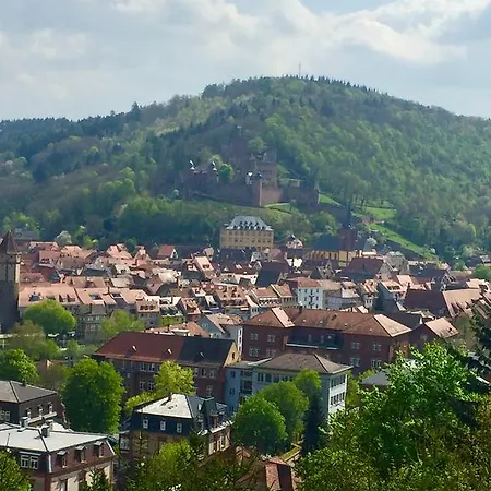 Mainzimmer Business - Monteurwohnung Mit Burgblick * Wertheim