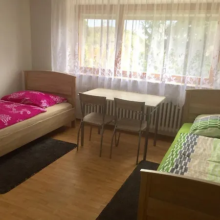 Mainzimmer Business - Monteurwohnung Mit Burgblick *