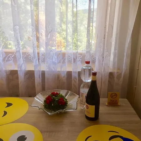 Apartment Mainzimmer Business - Monteurwohnung Mit Burgblick *